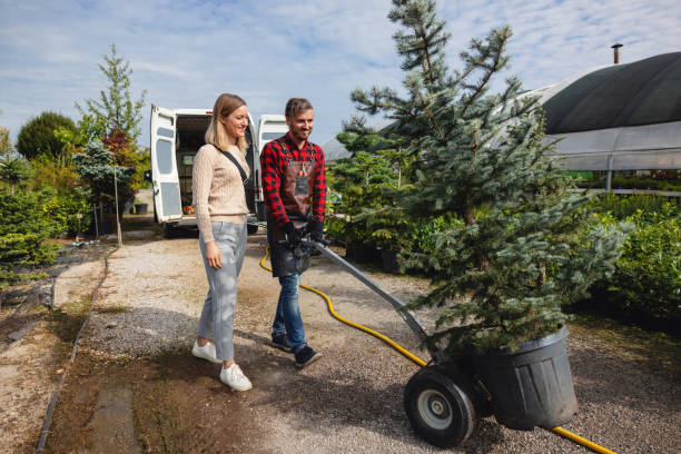 Best Tree Mulching  in Las Lomas, CA
